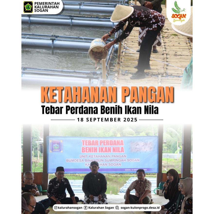 Bumdesa Sogan Tebar Perdana Benih Ikan Nila di Unit Ketahanan Pangan Kalurahan Sogan